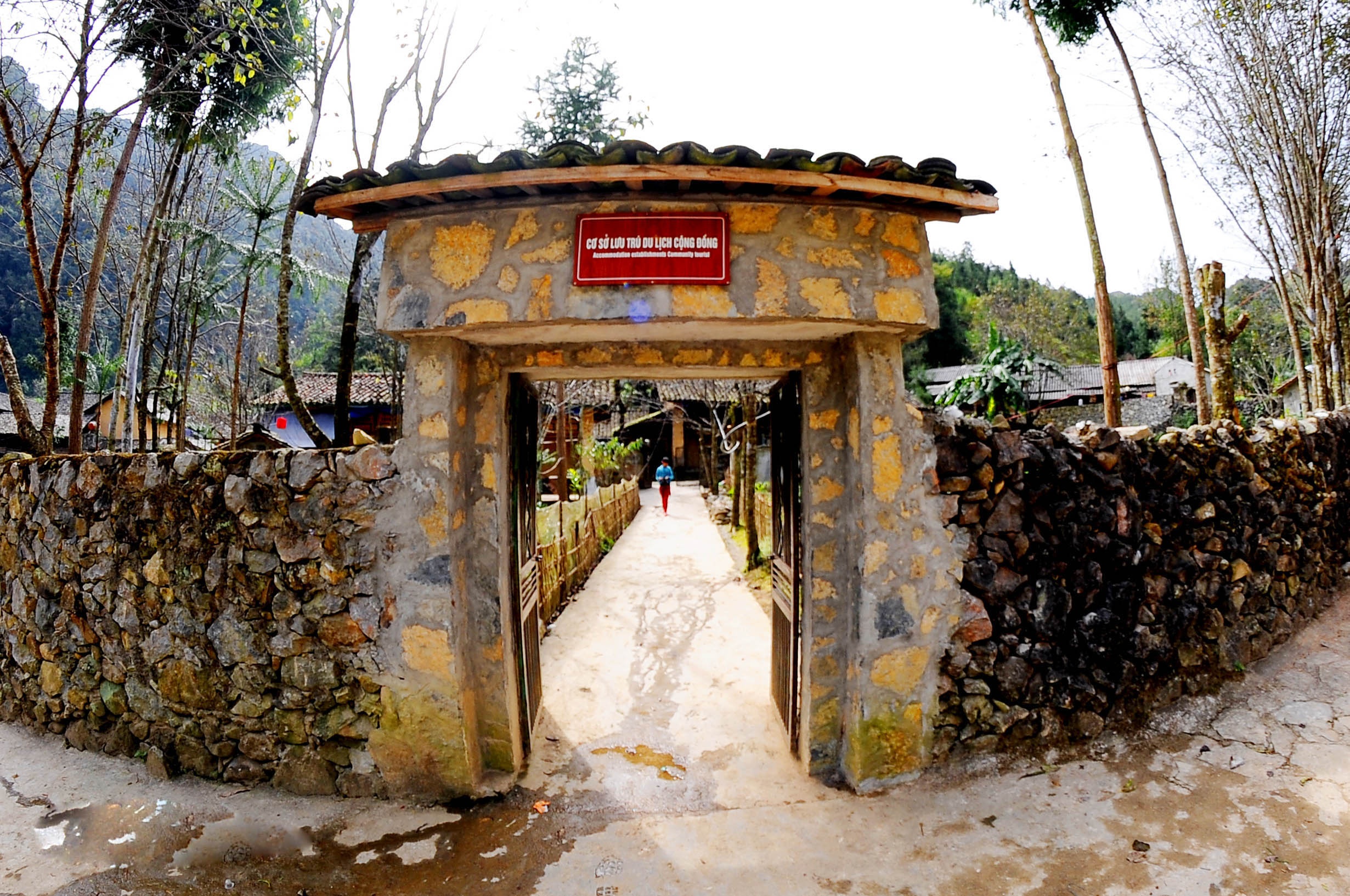 Chùm ảnh về hoa tam giác mạch và khu nhà của Pao.