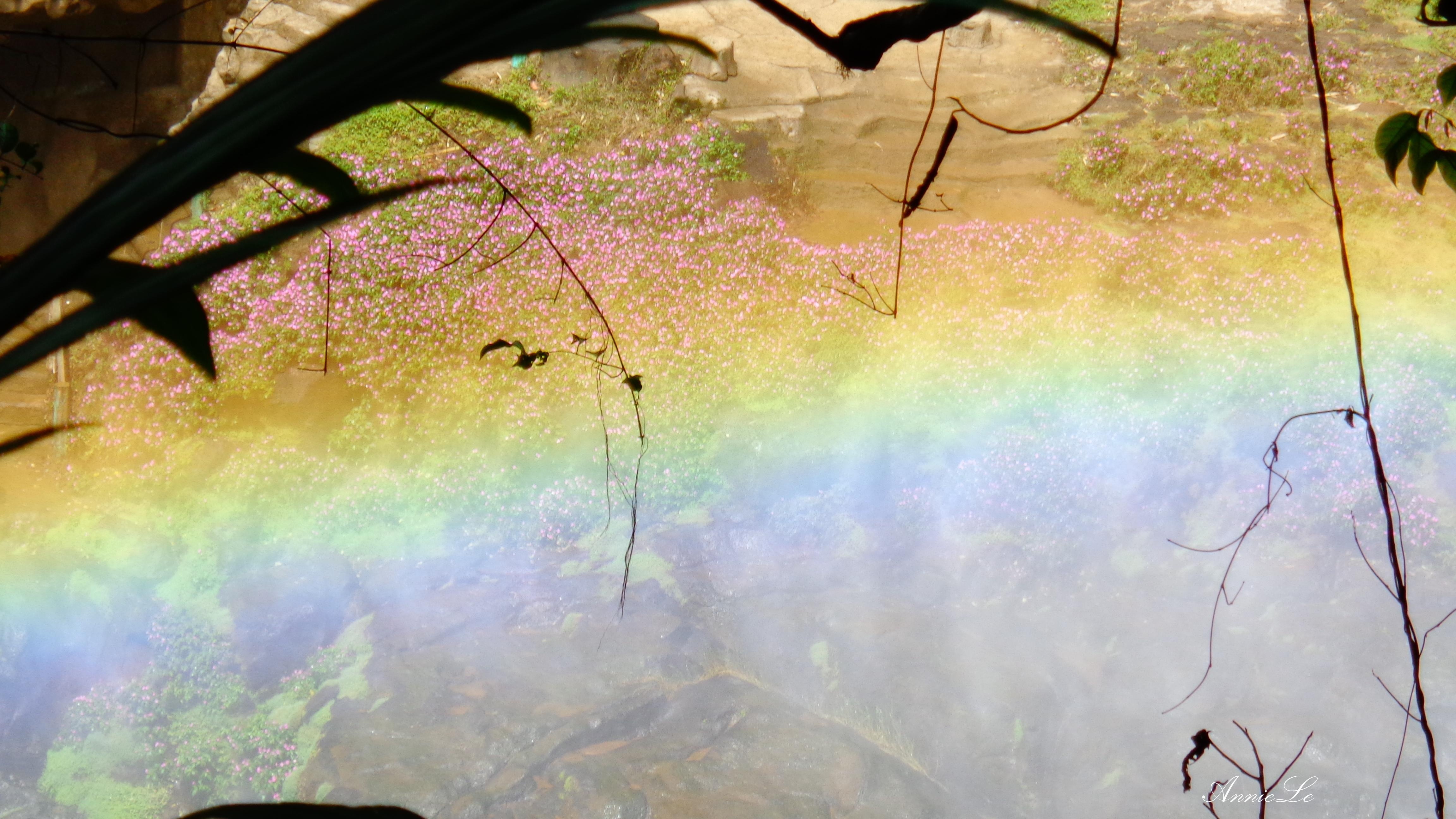 Cầu vồng khoe sắc trên dải hoa. Ngắm nhìn khung cảnh Dam B’ri từ trên cao, bao mệt mỏi, muộn phiền dường như đều không còn, du khách chỉ còn thấy lòng mình trôi bồng bềnh theo dòng nước xanh mát.