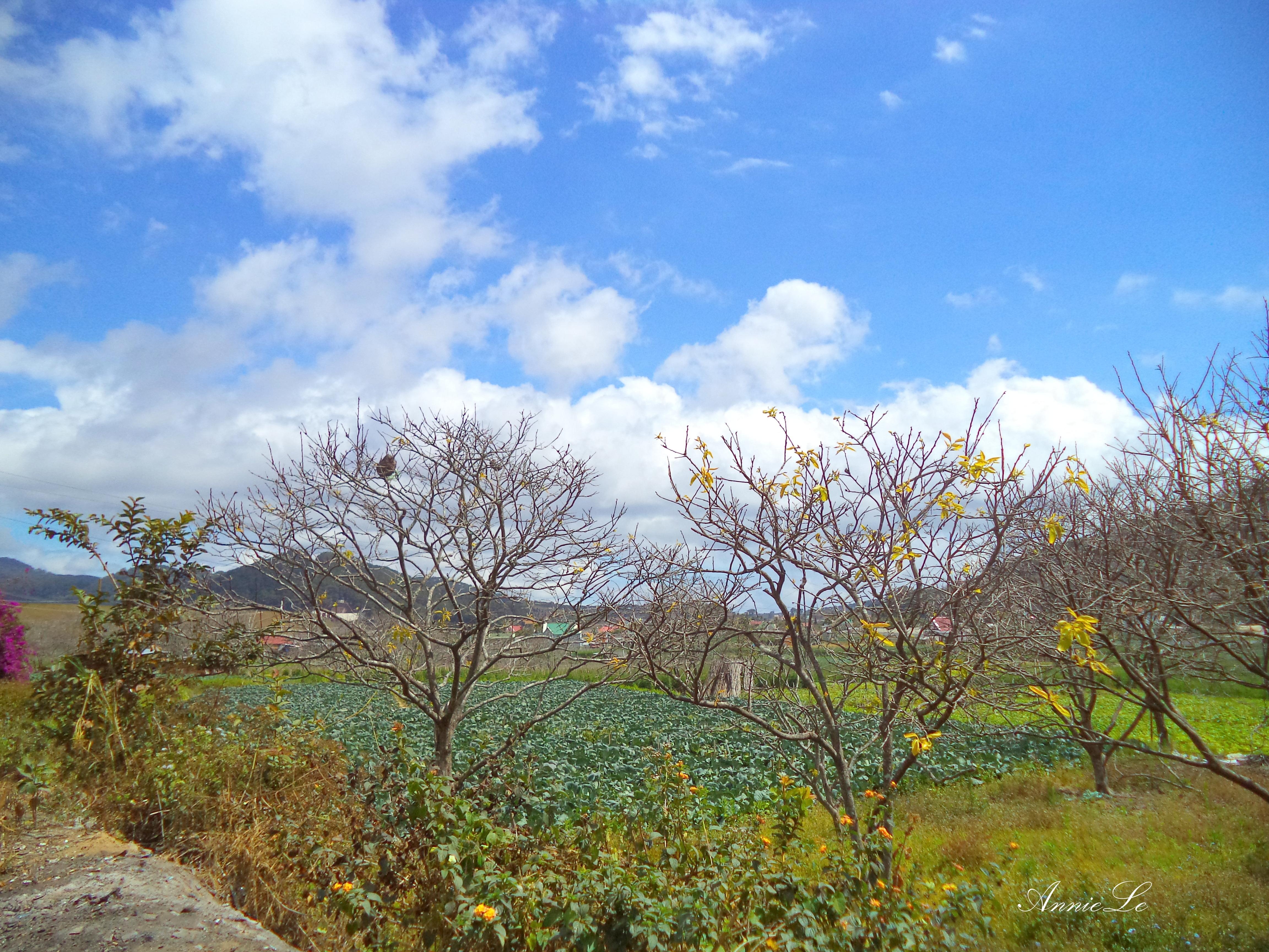 D’ran - thi tran ngu vui giua cao nguyen hinh anh