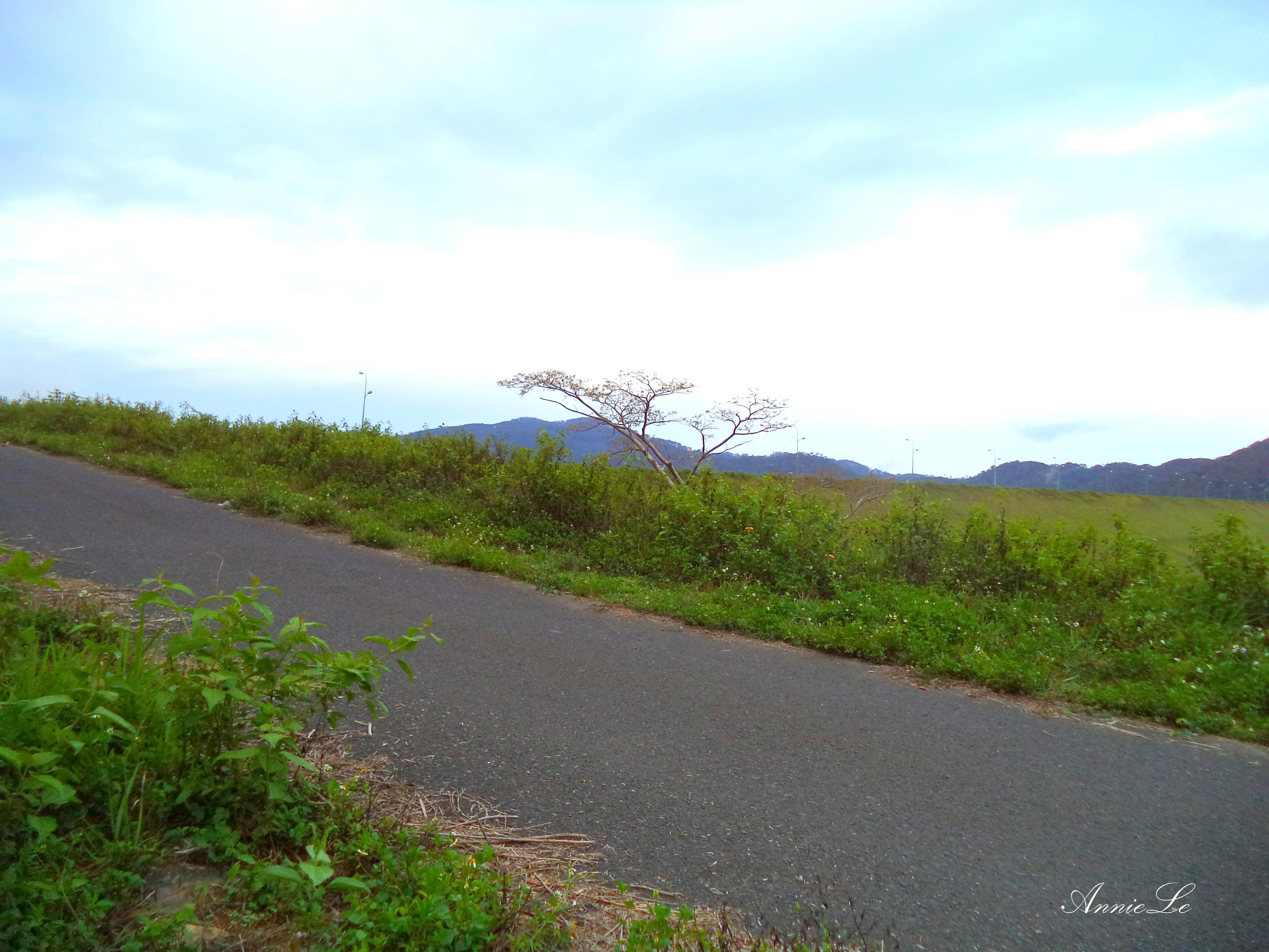 Hoa dại hai bên đường và không khí trong lành, thanh sạch. Đến với D’ran, bạn đừng quên mang theo thật nhiều quần áo ấm, khăn quàng cổ và mũ len. Vì là một thị trấn nhỏ, chưa phát triển du lịch nên ở đây không có nhiều khách sạn, nhưng bạn đừng quá lo lắng về chuyện đó, hãy thử hỏi, chắc chắc những conngười nồng hậu ở đây sẵn sàng cho bạn ngủ lại qua đêm trong ngôi nhà đơn sơ giữa đồng rau cùng với gia đình họ. Cũng đừng ngạc nhiên khi thấy những xe bò, xe ngựa (hay người dân vẫn gọi là xe thổ mộ) trên đường phố D’ran bạn nhé.