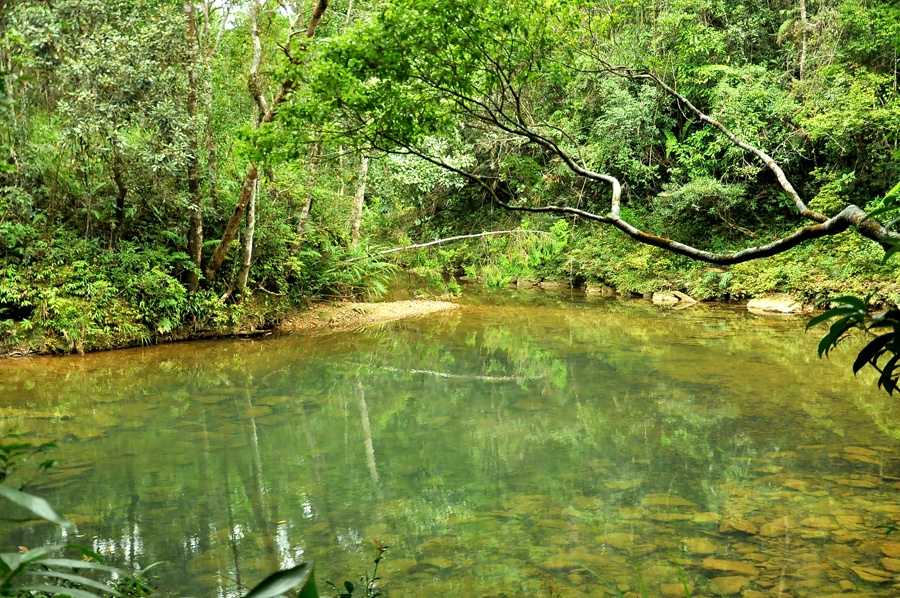 Thac nuoc o ngu ho hinh anh