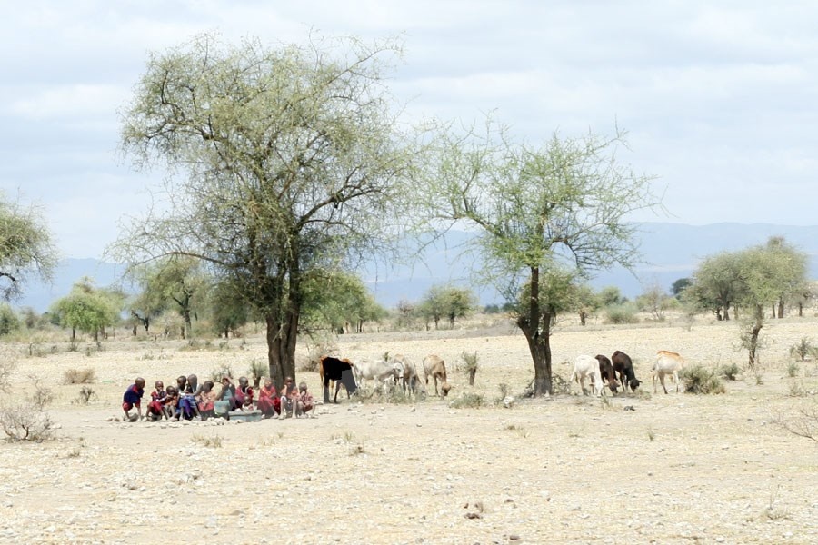 Bên ngoài ngôi làng, dưới những tán cây, trẻ em người Maasai quần tụ chơi đùa. 