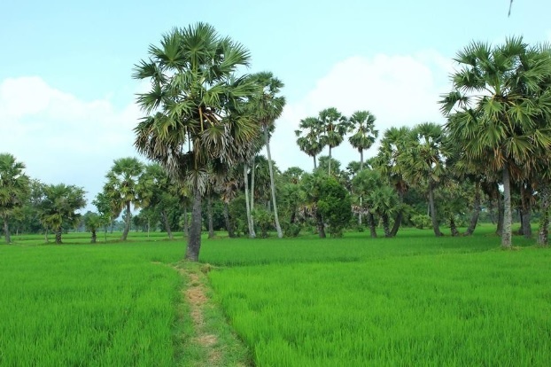 Ve dep cua An Giang trong mat phuot thu hinh anh