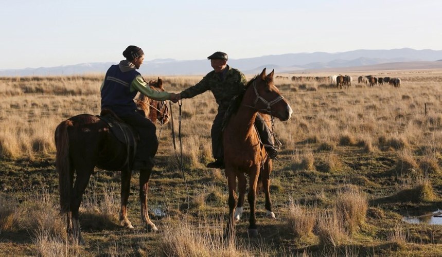 Những người chăn bò cưỡi ngựa gặp nhau trên thảo nguyên.