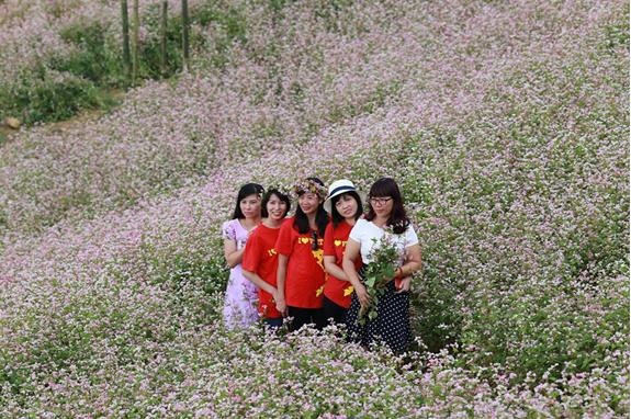 Thuong cho mot mua hoa qua tai hinh anh