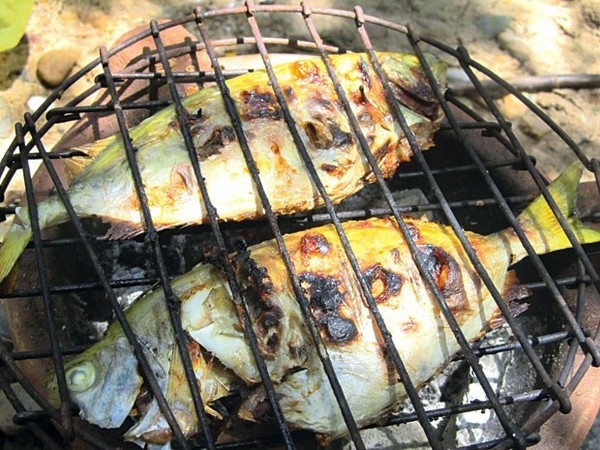 Cá giò: Nếu rời Cửa Lò mà chưa thưởng thức món ăn chế biến từ cá giò thì xem như bạn chưa thực sự đến xứ biển này. Cá giò là đặc sản 