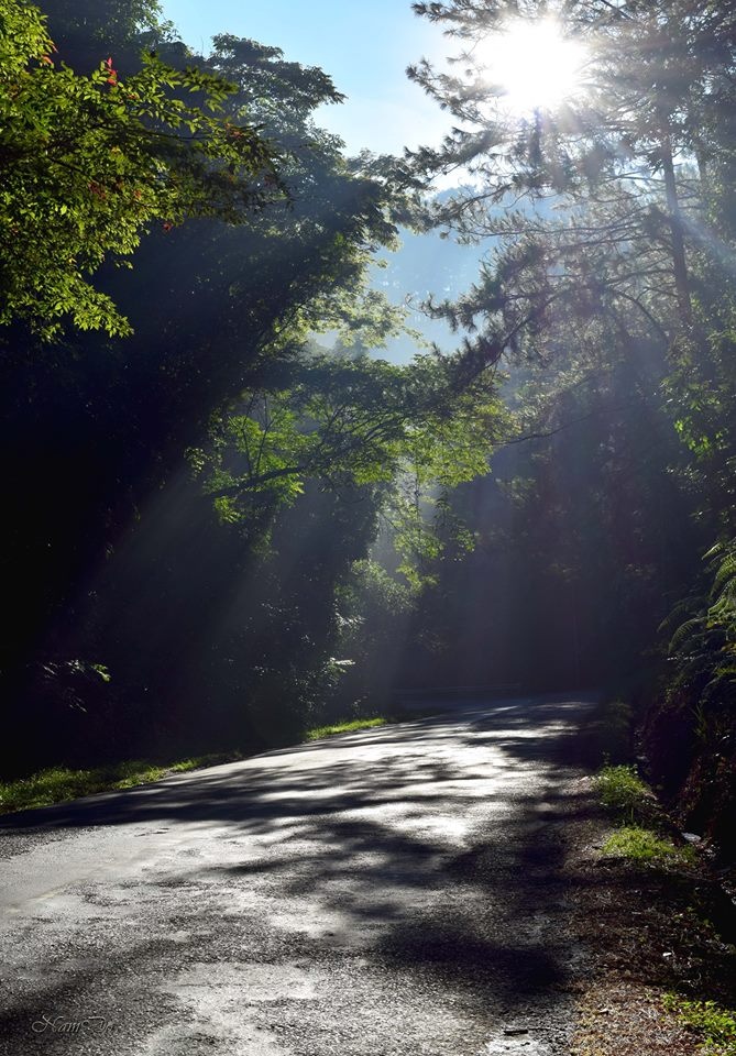 Khám phá đèo Prenn là trải nghiệm tuyệt vời cho du khách ghé thăm nơi đây vào tháng 11 tới. Ảnh: Nam Do.