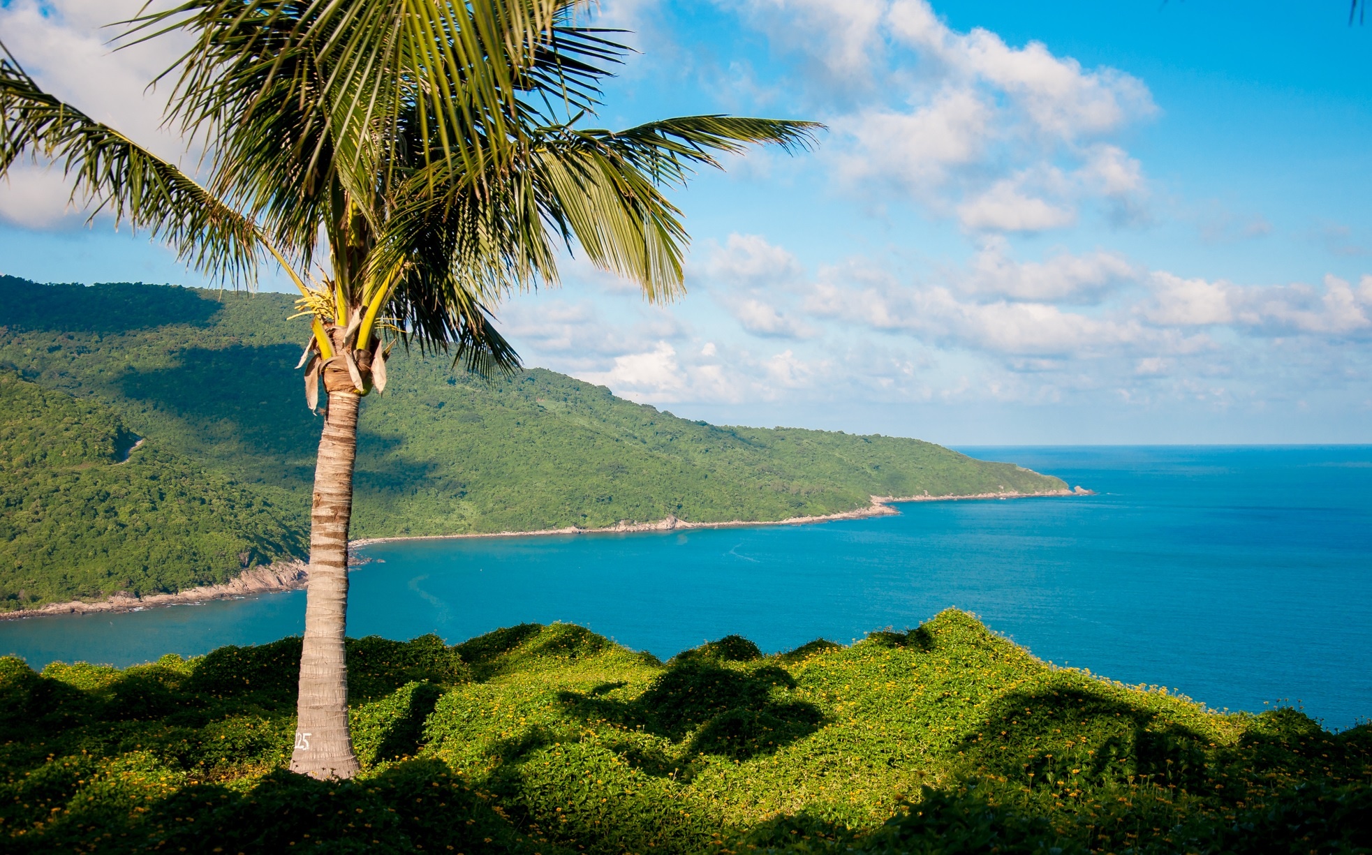 Ngam Da Nang tu ban dao Son Tra hinh anh