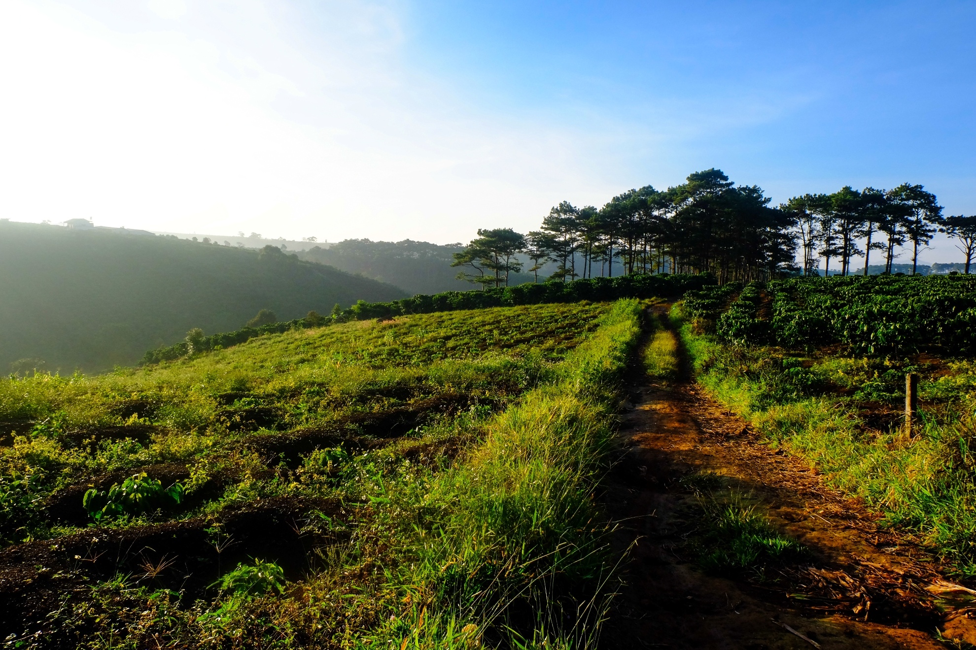 Den Bao Loc don nang thu, ngam hoa da quy hinh anh