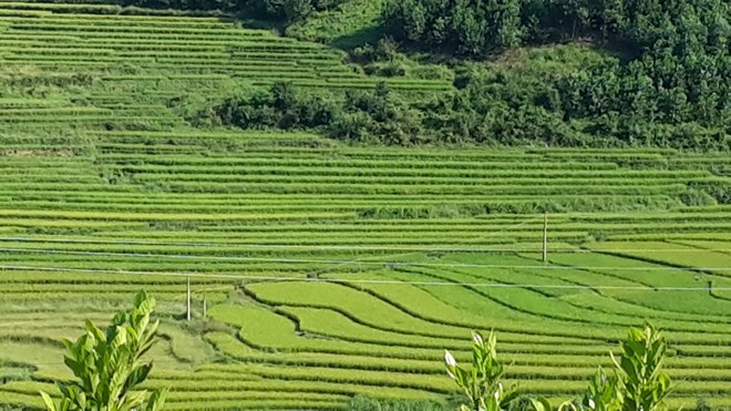 Đến Bình Liêu nhiều du khách ngỡ ngàng như đến Sa Pa.