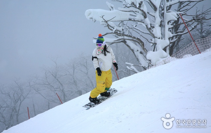 Trượt tuyết ở núi Deogyusan. Ảnh: English.visitkorea.or.kr.