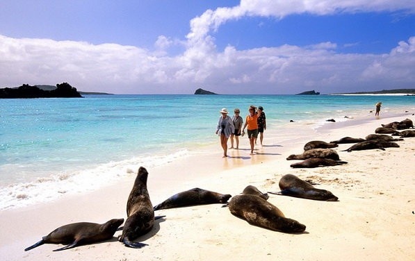 Kham pha ve dep quan dao Galapagos hinh anh