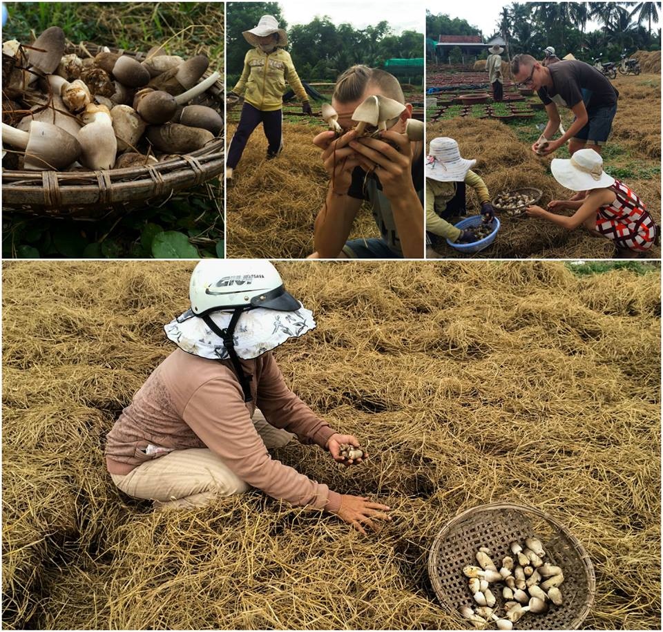 “Gia đình Jenny đã cho tôi ở nhờ tổng cộng hơn một tháng và coi tôi như con cháu, anh em trong nhà. Họ giúp đỡ chúng tôi vô điều kiện và chia sẻ mọi thứ, không toan tính thiệt hơn. Nếu ai cũng có một trái tim rộng mở như vậy thì thế giới sẽ hạnh phúc hơn rất nhiều”. 