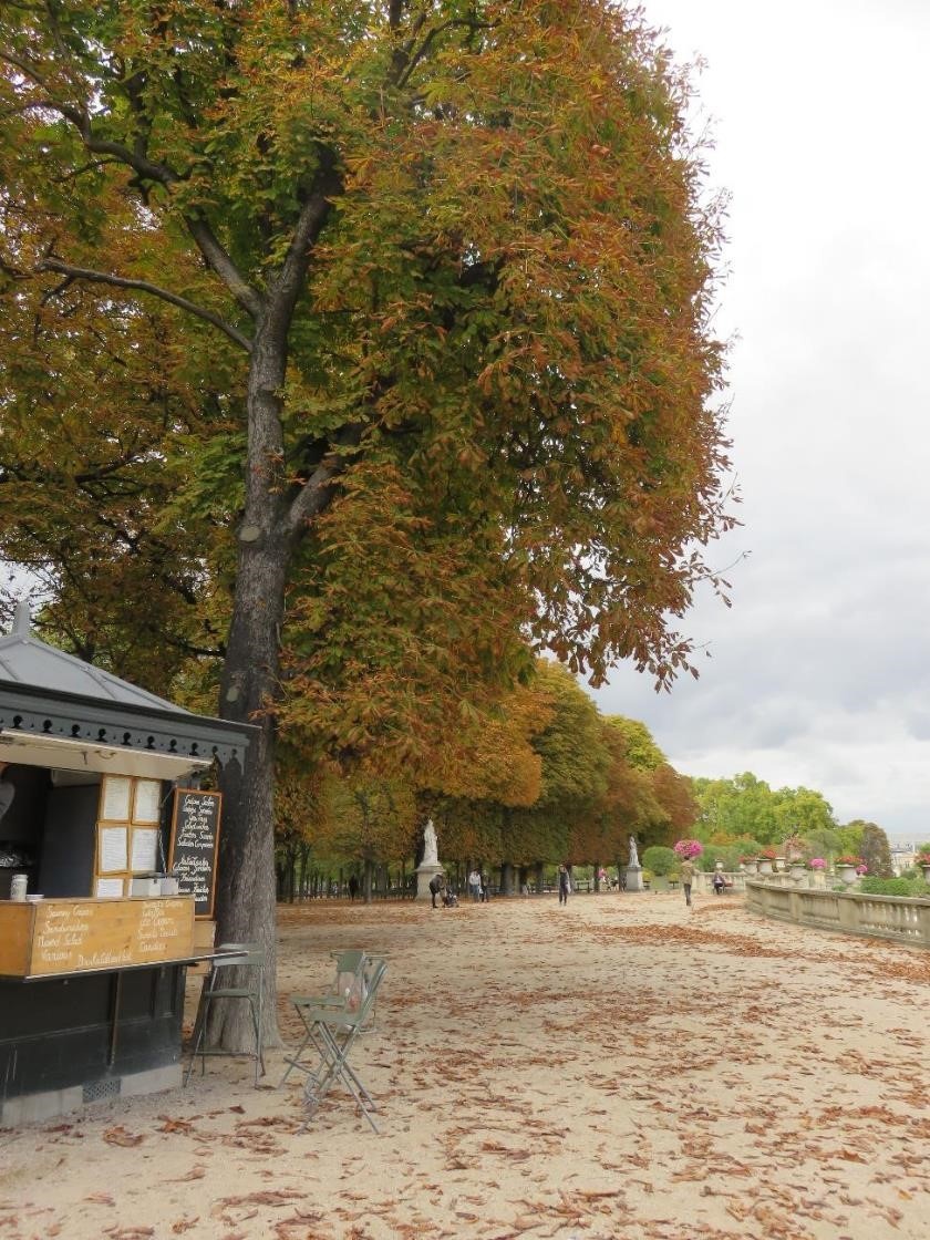 Một góc bình yên trong vườn Luxembourg.