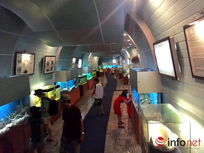 Viện Hải dương học nằm ở địa chỉ số 1, Cầu Đá, Thành phố Nha Trang, tỉnh Khánh Hoà. Viện được người Pháp xây dựng vào năm 1923 với diện tích rộng khoảng 20ha nằm gần vùng biển sâu thuận lợi cho việc nguyên cứu các loài sinh vật biển tại đây. Biểu tượng của Viện Hải dương học Nha Trang là loài cá Mao Tiên cực độc.