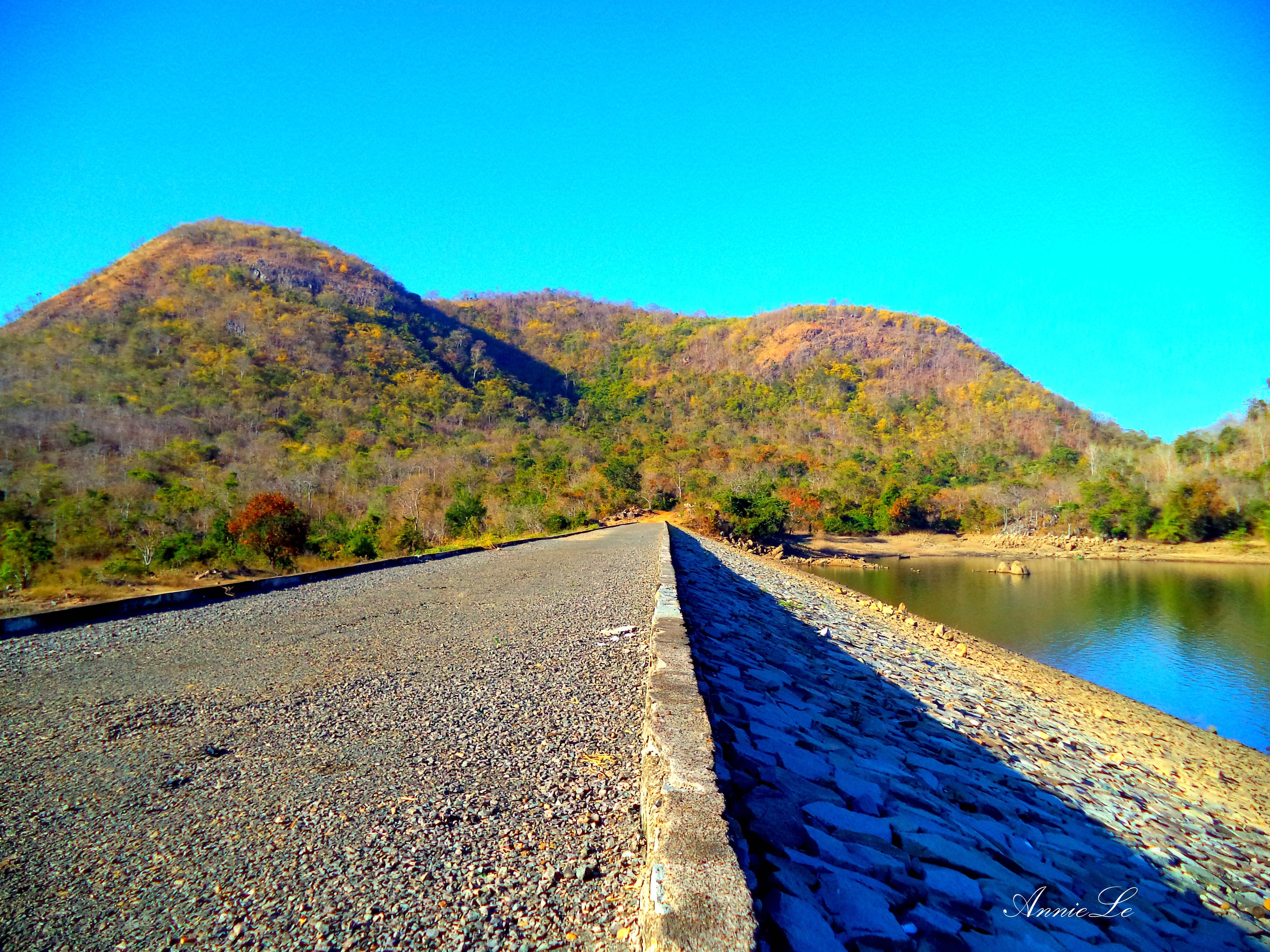  Bờ đập cũng là con đường dẫn vào chân núi với hệ động thực vật phong phú.