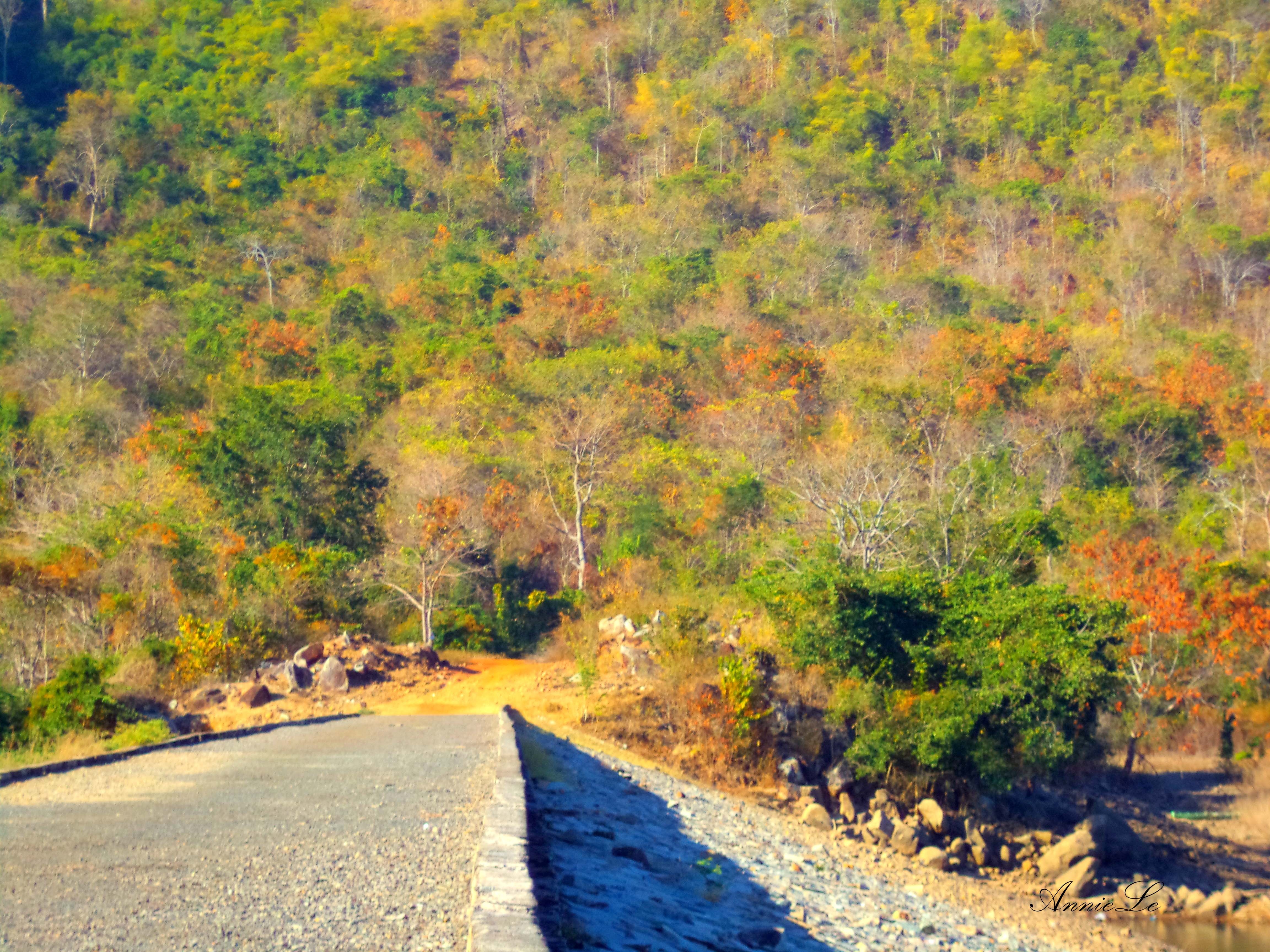 Đến hồ sông Quao vào những tháng cuối năm, bạn có cơ hội chiêm ngưỡng những khu rừng đang độ thay lá, rất nhiều màu sắc.