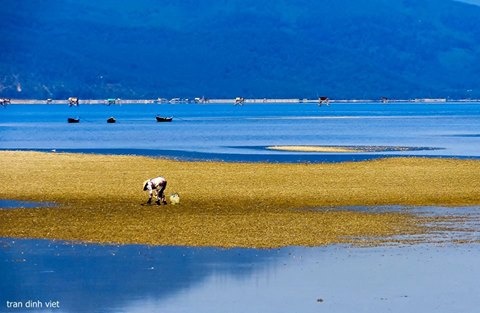 Vẻ đẹp mê hoặc lòng người của Lăng Cô. Ảnh: Viet Tran.