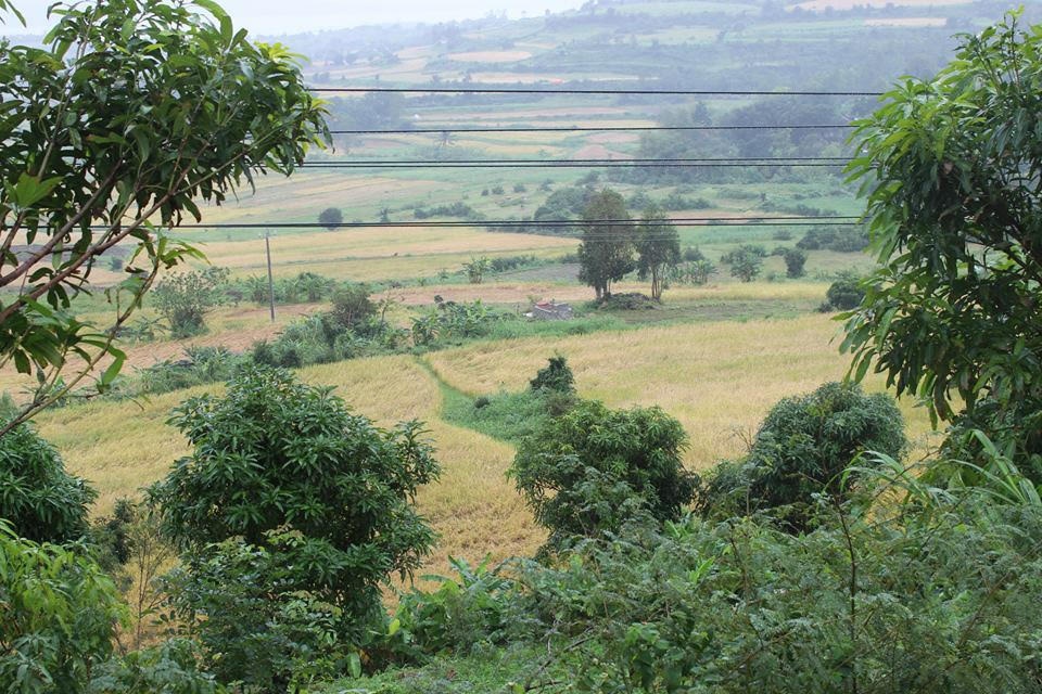 Hai ngay cuoi tuan o vung dat 'hoa vang co xanh' hinh anh