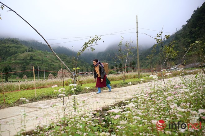 Thôn Lũng Cẩm, xã Sủng Là, huyện Đồng Văn là nơi có nhiều cảnh quan hùng vĩ, hoang sơ và có hơn 63 hộ dân tộc Mông và Hán sinh sống lâu đời. Đặc biệt trong thôn có ngôi nhà truyền thống của dân tộc Mông được xây dựng cách đây 80 năm đã được chọn làm địa điểm đóng bộ phim nhựa “Chuyện của Pao”. Bộ phim này đã đoạt giải thưởng Cánh Diều Vàng của Hội Điện ảnh Việt Nam năm 2006.