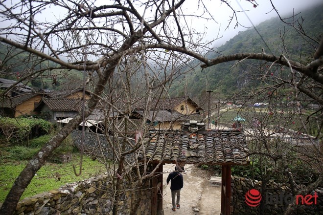 Tham 'Nha cua Pao' hinh anh