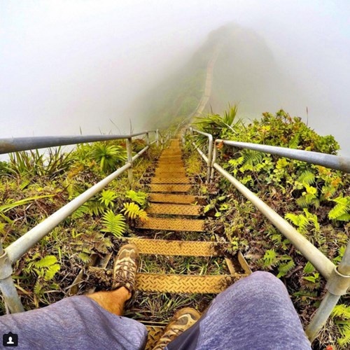 Số lượng những bạn trẻ ưa mạo hiểm tìm đến con đường này khá lớn khiến chính quyền Oahu phải đau đầu tìm cách giải quyết. Họ cũng đã nghĩ đến phương án sẽ dỡ bỏ hoàn toàn con đường leo núi được cho là nguy hiểm này. Ảnh: Aklukuk.