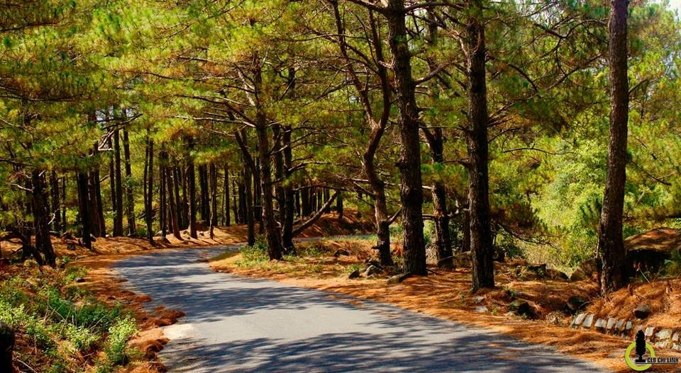 5 trai nghiem o Da Lat mua tro gio hinh anh