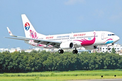 Them nhieu ket noi hang khong toi Viet Nam hinh anh