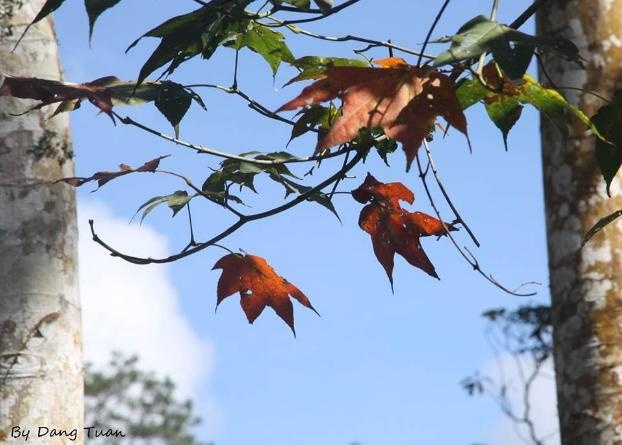 Với bảng giá tour hợp lý, lượng du khách đến tham quan càng đông. Giá dao động từ 200 nghìn đến 250 nghìn một người, tuỳ vào số lượng đoàn càng đông thì giá tour càng giảm.