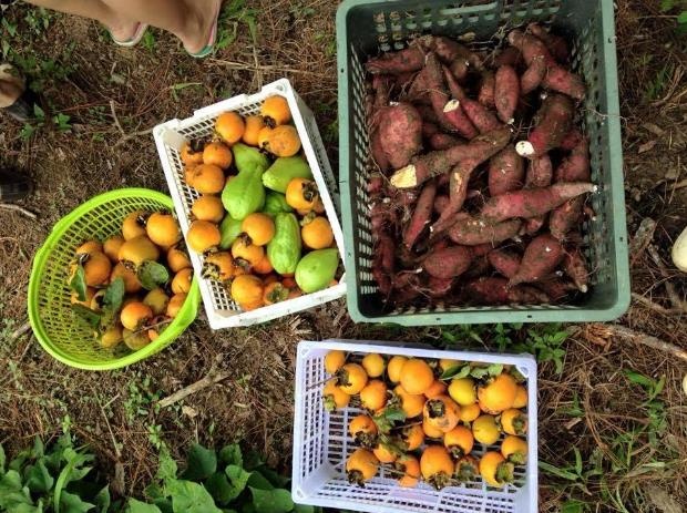 Thành quả của chuyến đi, đó sẽ là những món quà hết sức ý nghĩa.