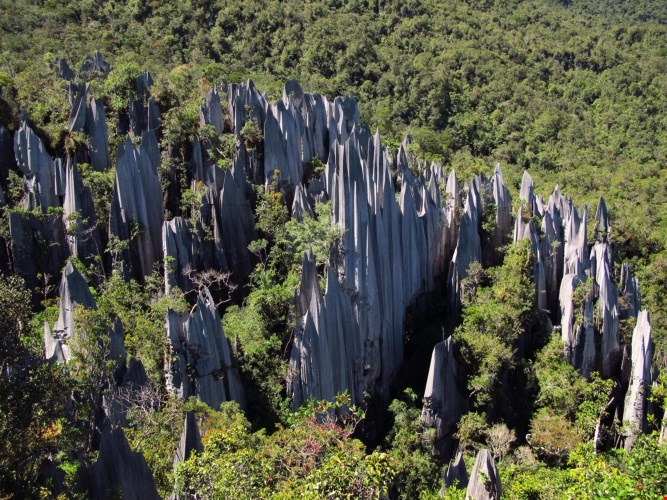 Vườn quốc gia Gunung Mulu có tổng diện tích chừng 52.865 ha rừng nhiệt đới nguyên sinh, nơi có những con sông quanh năm chảy xiết và những dòng suối trong veo. Ảnh: Thousandwonders.