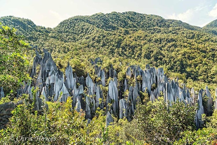 Vườn quốc gia Gunung Mulu nổi bật với ba ngọn núi hùng vĩ, Gunung Mulu cao 2.376m, Gunung Api cao 1.750m và ngọn Gunung Benarat cao 1.585m. Ảnh: Mulupark.