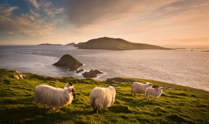 2. Ireland: Là quốc gia hưng thịnh và phát triển, Ireland chẳng có liên hệ mật thiết với bất kỳ đất nước háo chiến nào có khả năng gây ra Thế chiến thứ ba.  Ireland vận hành theo xu hướng độc lập chính trị, cũng không phải là thành viên của tổ chức quân sự nào và trung lập về mặt quân sự. Hơn nữa, luật pháp quốc gia này quy định muốn tham gia bất kỳ cuộc chiến nào cũng phải được sự cho phép của Liên Hiệp Quốc, chính phủ lâm thời và Quốc hội.