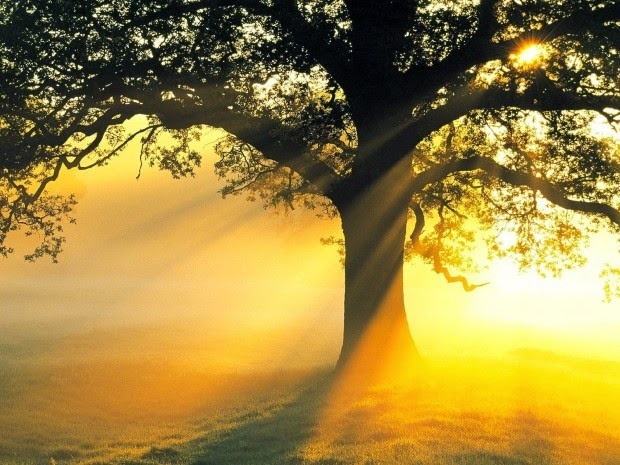 Thu nam cua ban (10/12) hinh anh