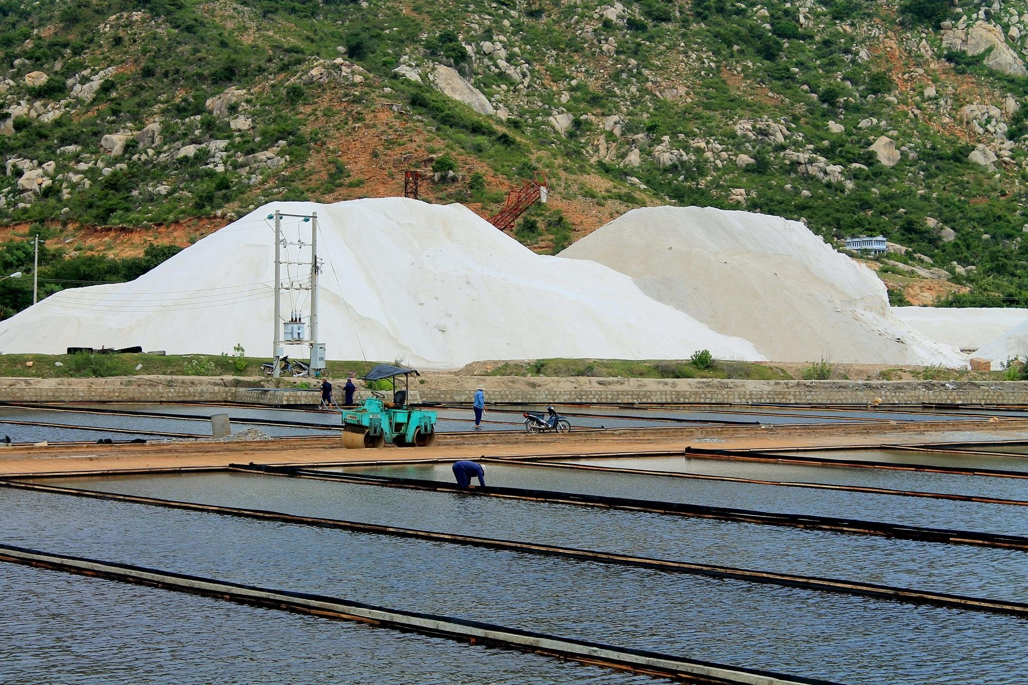 Cà Ná, điểm cực Nam của tỉnh Ninh Thuận cũng là điểm bắt đầu của cung đường biển tính từ Nam ra Bắc. Không chỉ có bãi tắm hoang sơ, nơi đây còn thu hút du khách bởi những cảnh sinh hoạt sinh động của làng chài lúc sáng sớm, cánh đồng muối trắng xóa, những triền núi uốn lượn,…