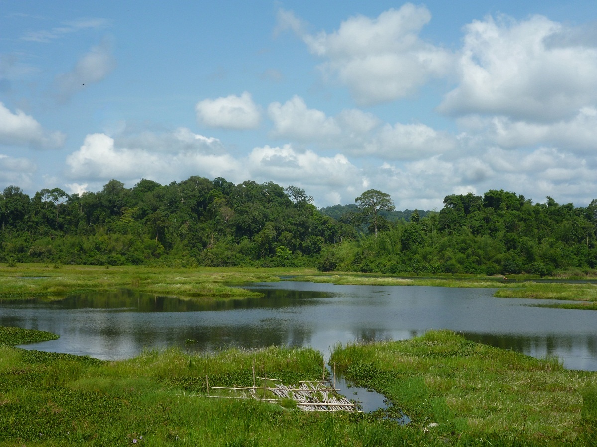 Đến Nam Cát Tiên nhớ ghé Bàu Sấu ngắm đàn cá sấu tung tăng bơi lội đốp mồi. Ảnh: Phước Bình.