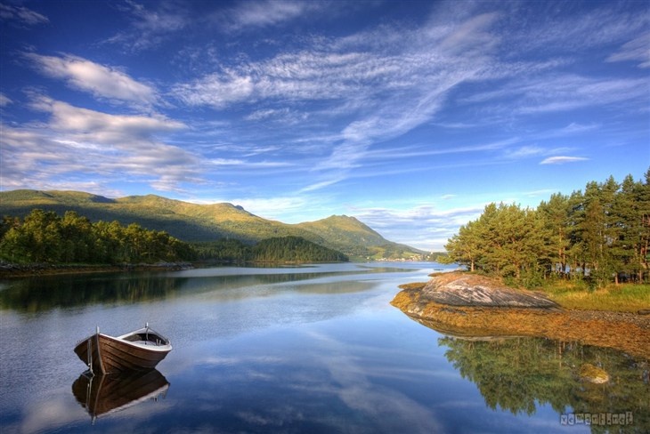 Chu nhat cua ban (13/12) hinh anh