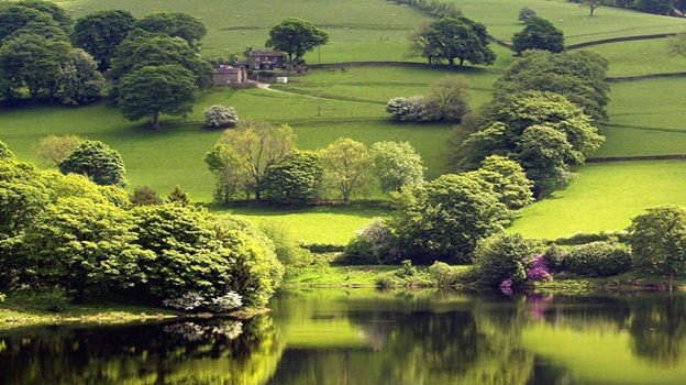 Thu hai cua ban (14/12) hinh anh