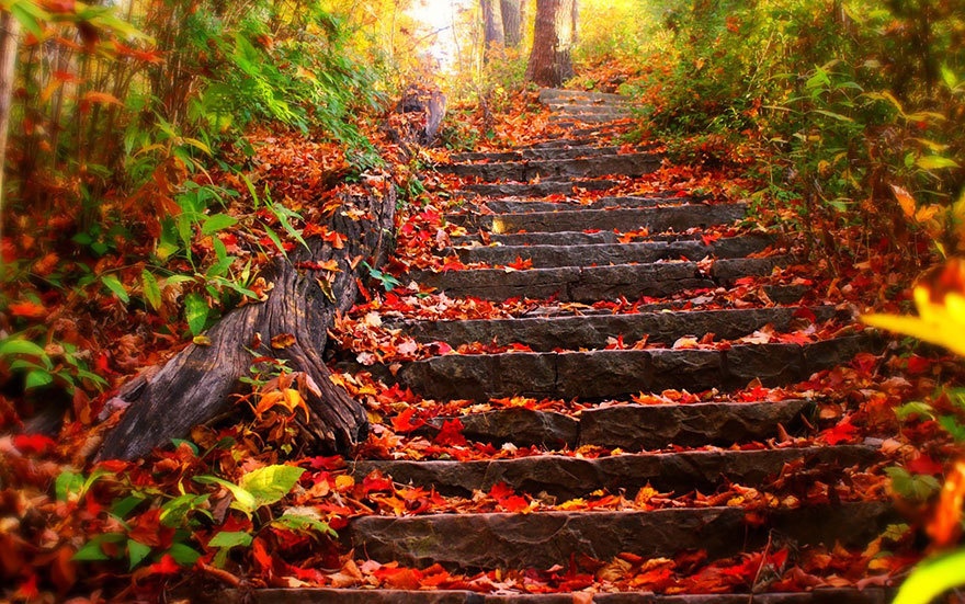 Thu ba cua ban (15/12) hinh anh