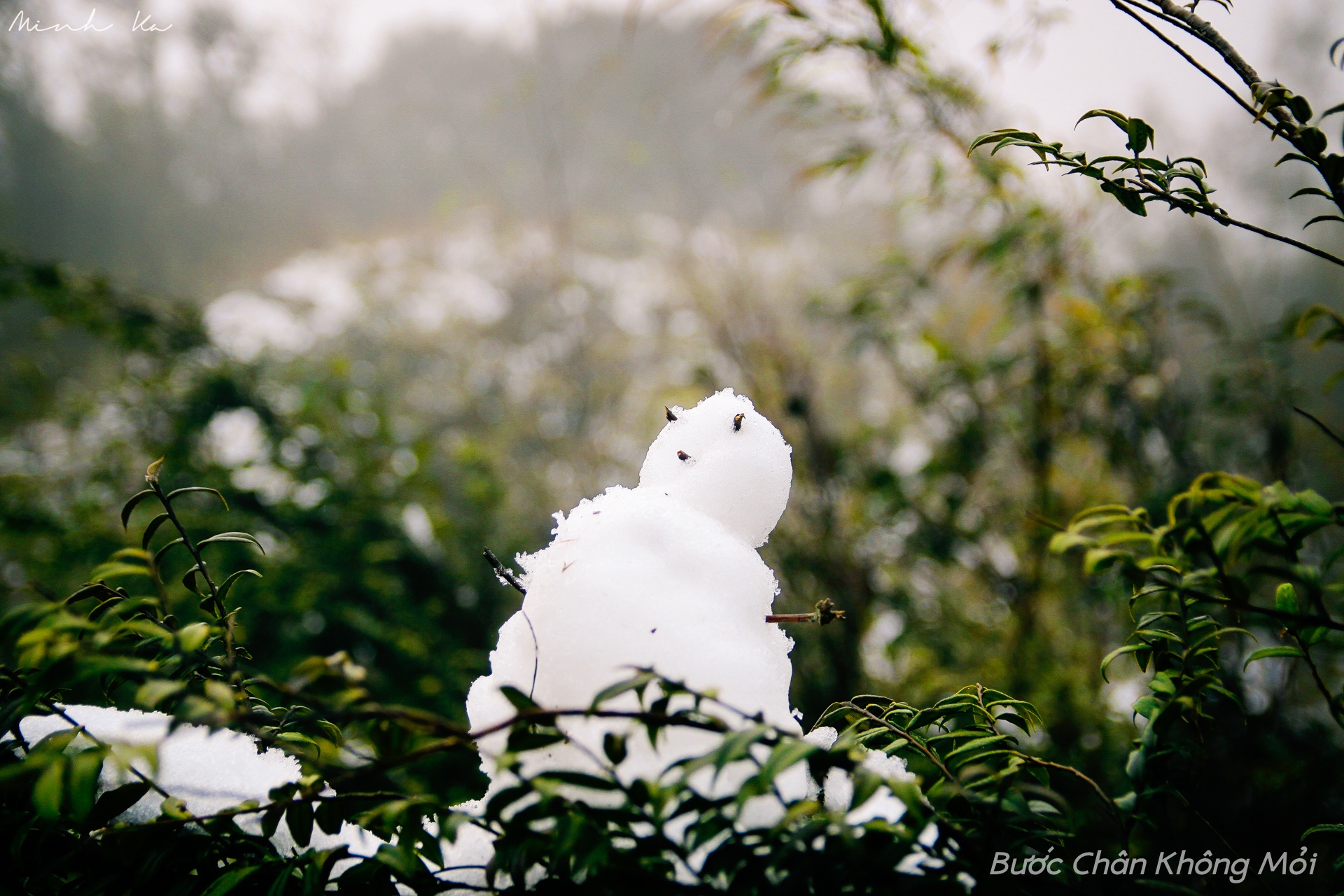 Khi đùa nghịch với tuyết thì các bạn đừng quên tự tay mình tạo ra các hình người tuyết độc đáo nhé.