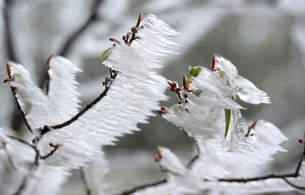 Can chuan bi gi khi di san bang tuyet? hinh anh
