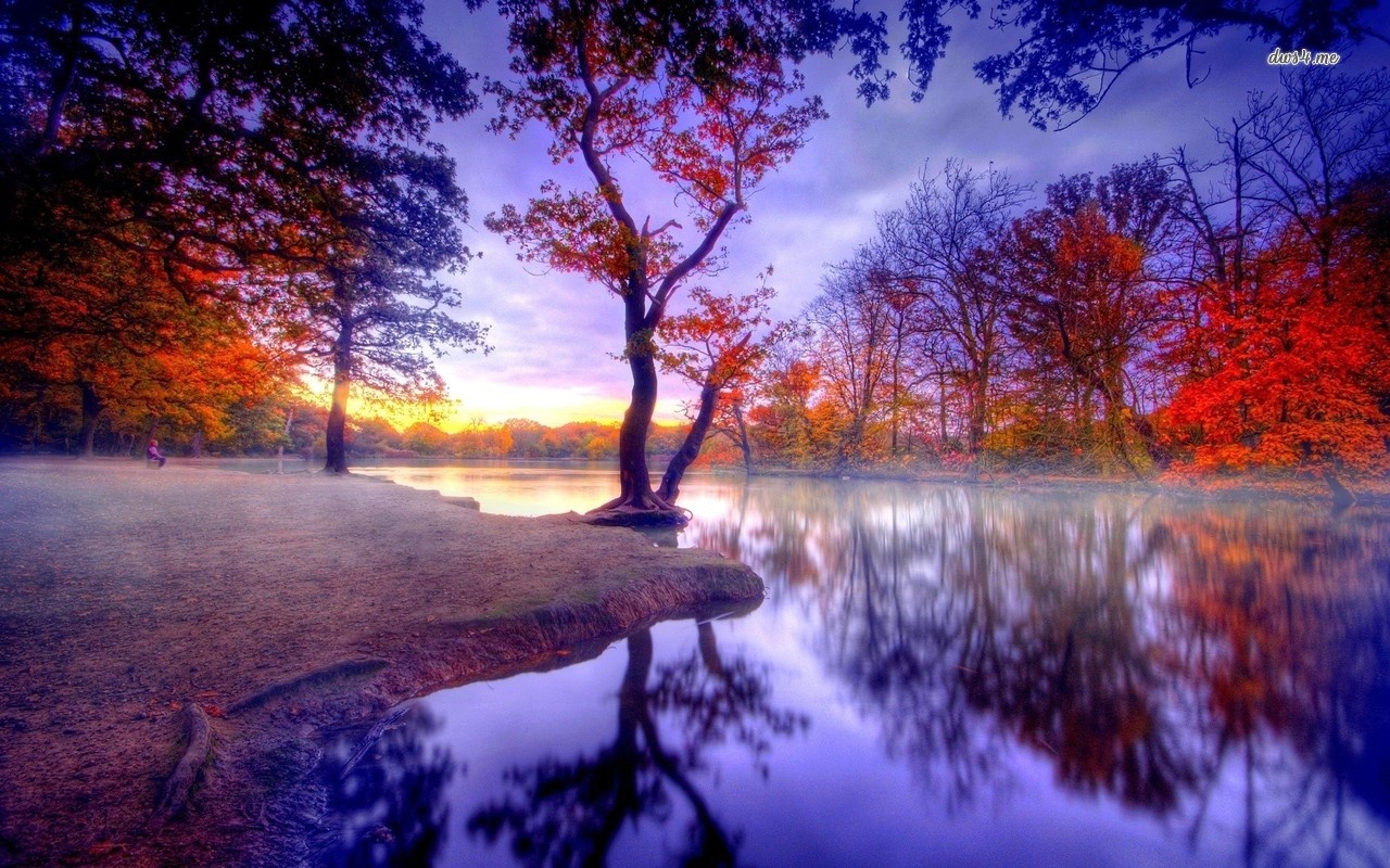 Thu bay cua ban (19/12) hinh anh