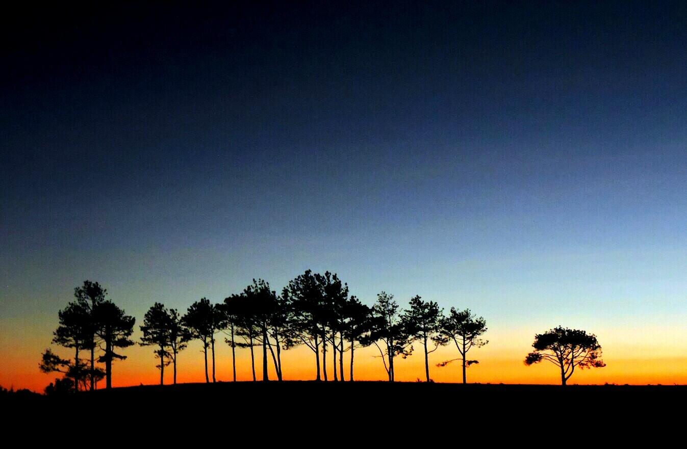 Cam trai giua nhung doi cay co don o Ta Nang hinh anh