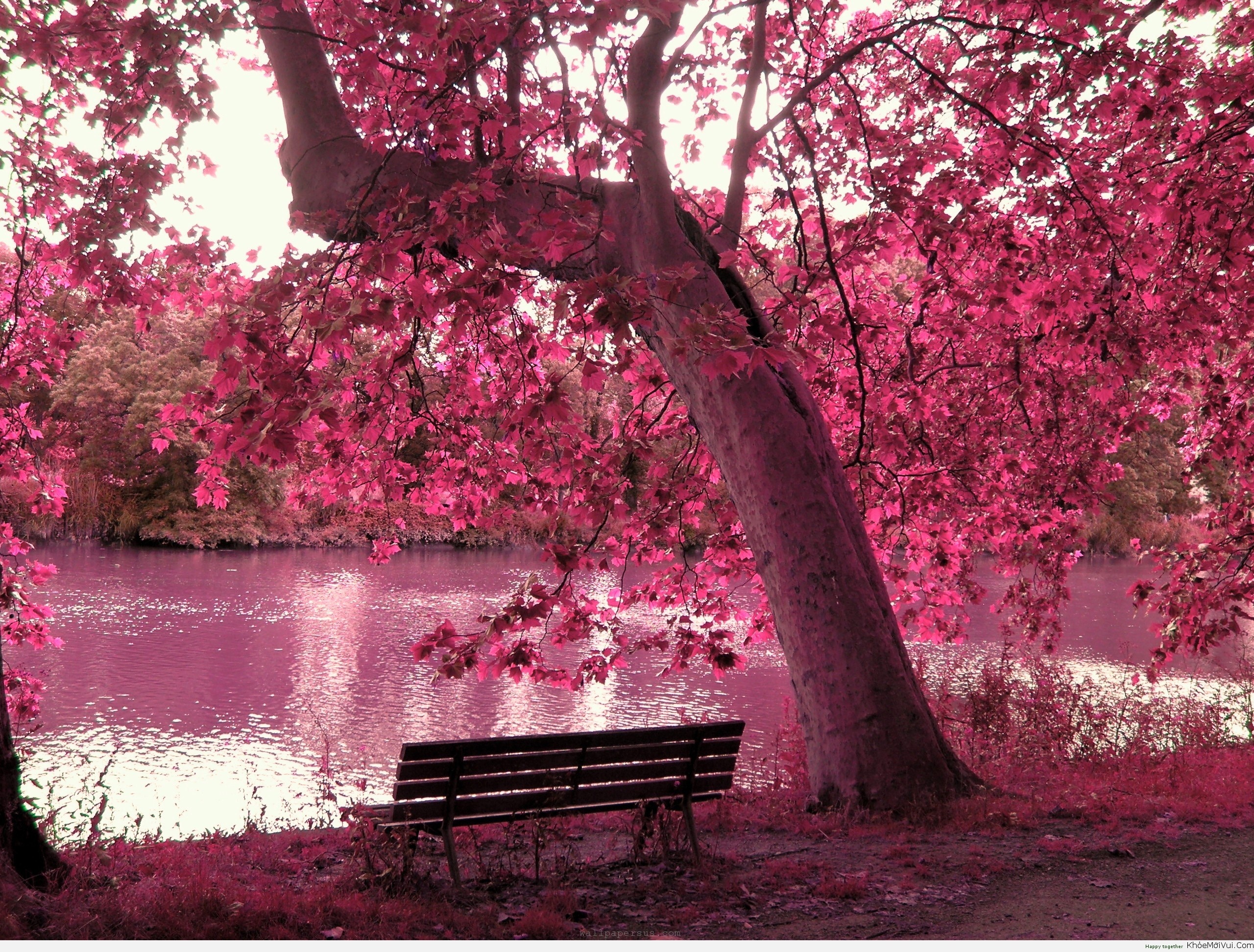 Thu nam cua ban (14/1) hinh anh