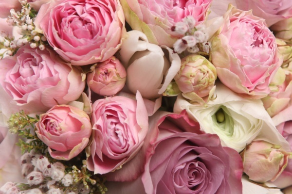 Van may ngay thu sau (29/1) hinh anh