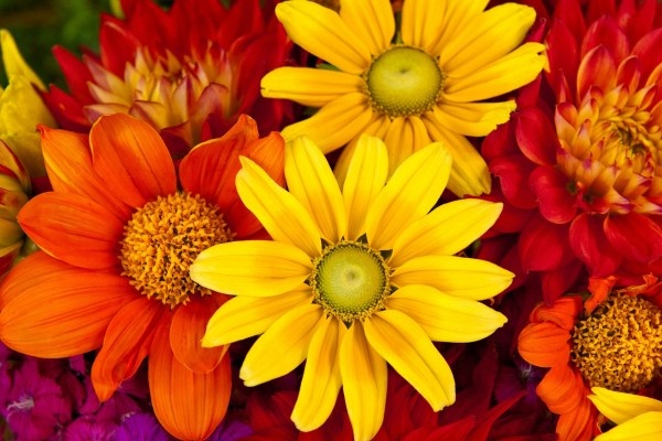 Van may ngay thu bay (30/1) hinh anh