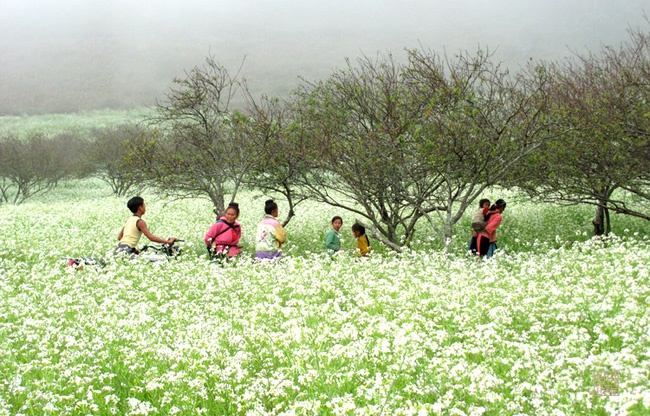 Tour du lich Tet ngan ngay duoc nhieu nguoi lua chon hinh anh