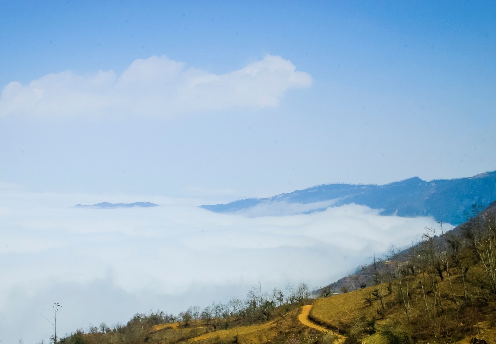 Mua xuan di san may o Y Ty hinh anh