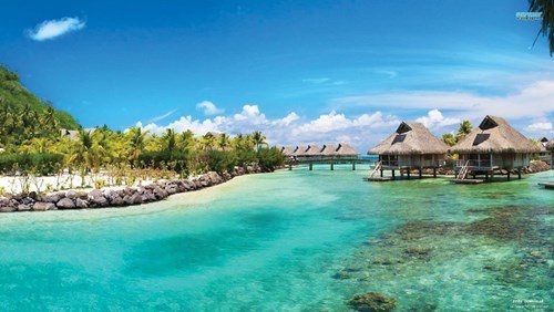 Su quyen ru cua bien hinh anh