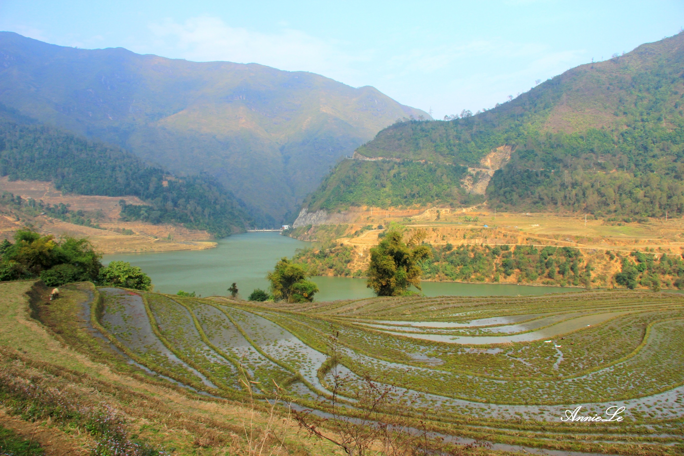 Y Ty mua san may anh 1